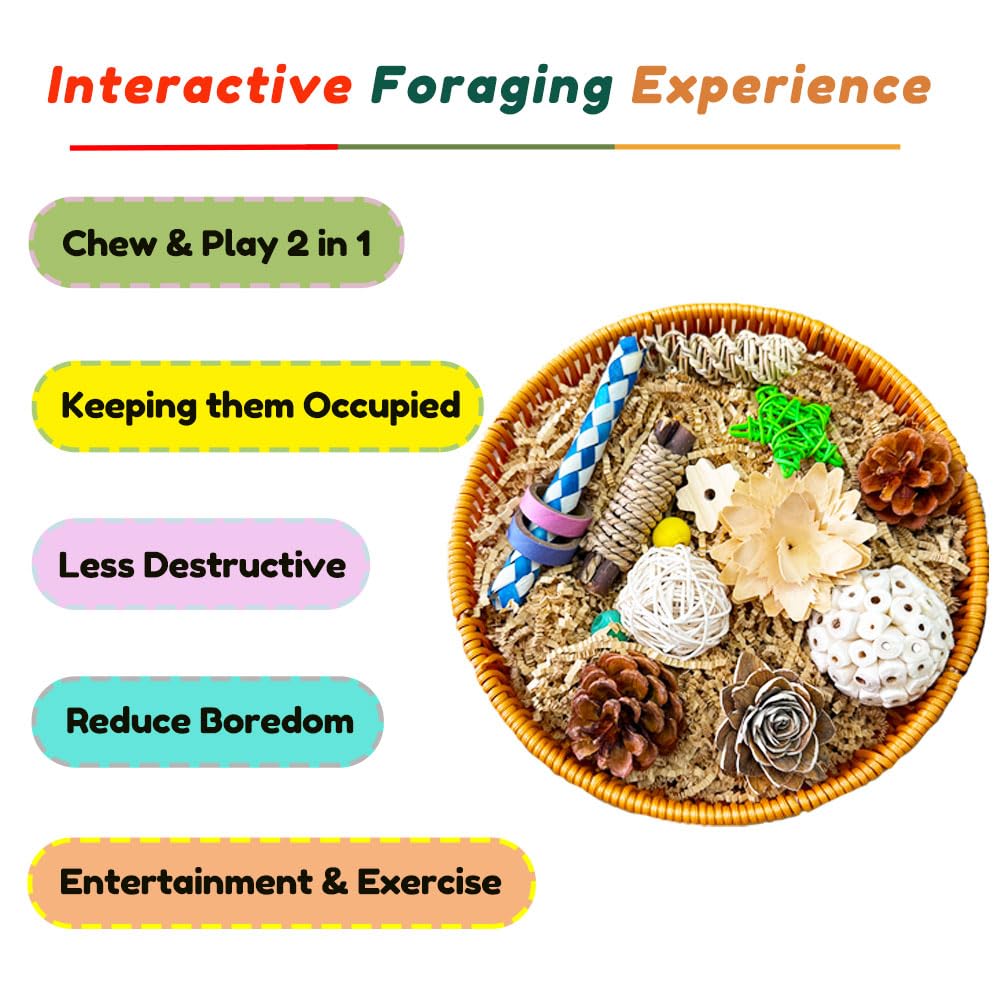 ExcyphrXyf Bird Toy Parrot Toys Rattan Bird Foraging Box for Cockatiels,Parakeets,Conures,Love Birds & Small to Medium Parrots - image 4