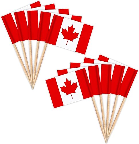 ZXvZYT Banderas de palillos de dientes canadienses con bandera canadiense, decoración pequeña para cupcakes de Canadá, decoración de frutas y cóctel