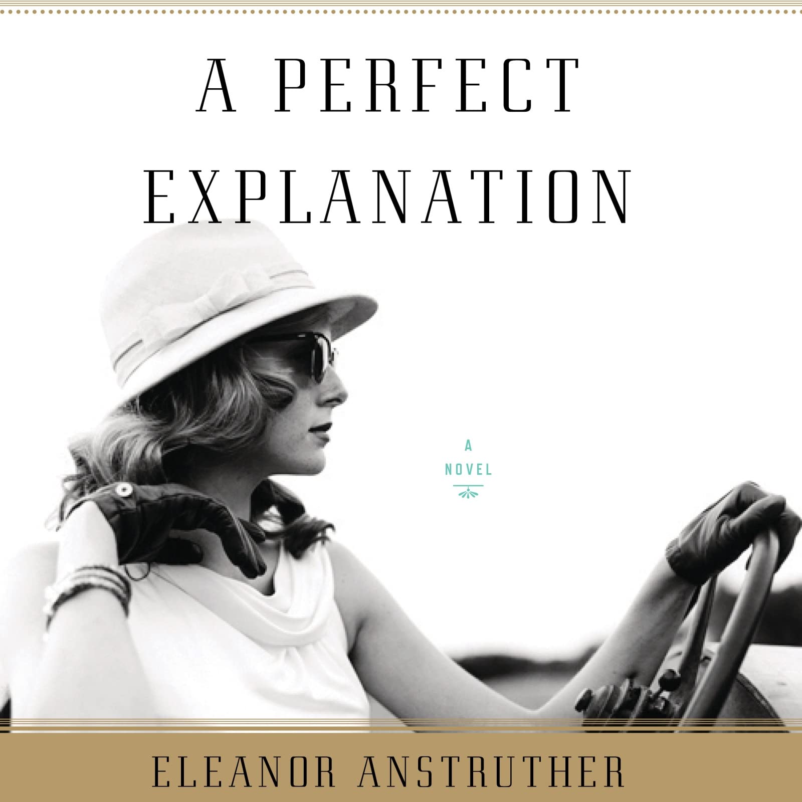 Buy A Perfect Explanation โ BookShops.in