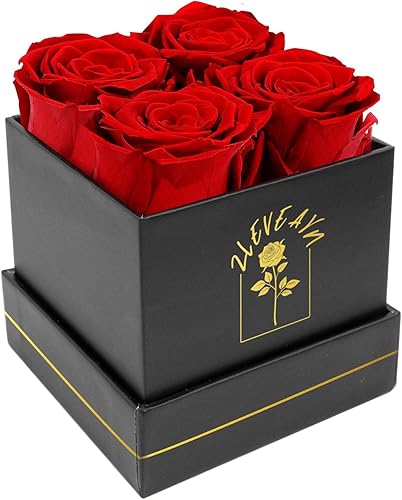 4 rosas frescas preservadas en una caja, flores reales para siempre, regalos de cumpleaños, día de San Valentín, amor eterno para su mujer y mamá