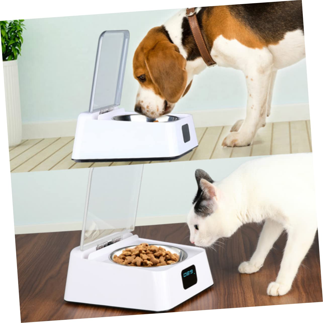 Angoily 1 Pc Dispensador Comida Animales dispensador de Alimentos para Mascotas alimentador de Mascotas de inducción infrarroja automático comedero para Perros