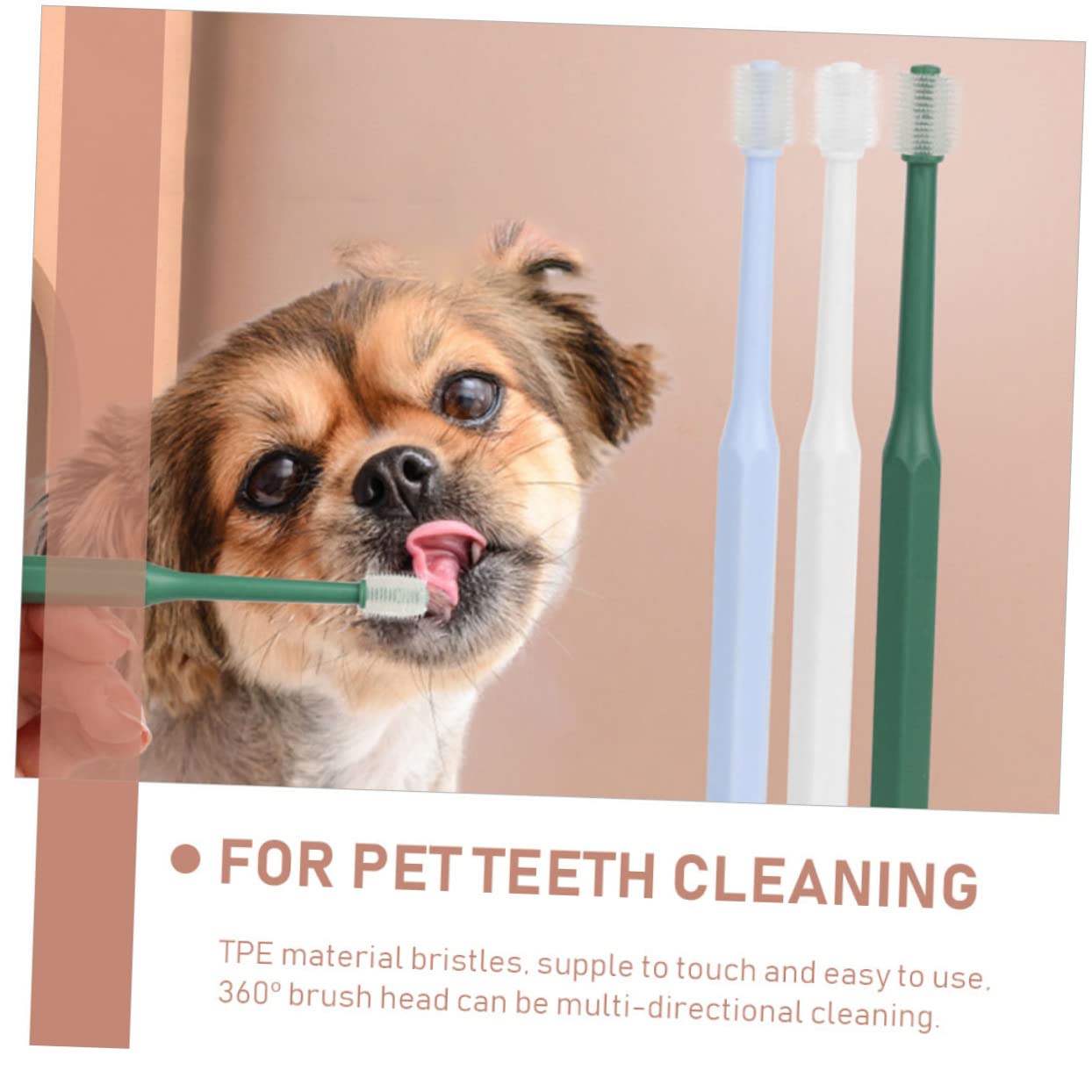 minkissy 12 Pezzi Spazzolino Da Denti Spazzolino Da Denti Per Animali Domestici Cucciolo Di Cura Dentale Spazzola Per La Pulizia Denti Dell'Animale Domestico Pulitore Per La Lingua Del