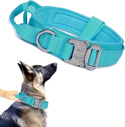 Collar táctico para perro, collar militar ajustable de nailon para perro, hebilla de metal resistente con asa para entrenamiento de perros (azul, L)