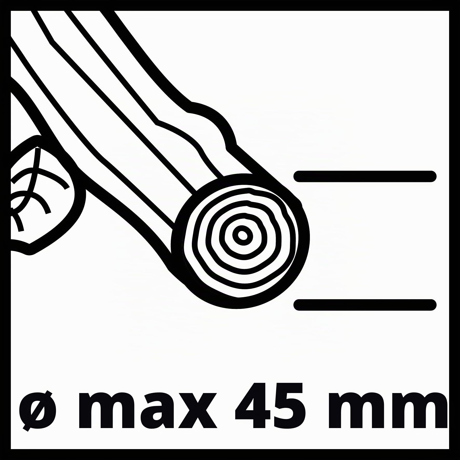 Einhell GC-RS 60 CB - Frantoio silenzioso per piante (2800 W, cilindro da taglio, vassoio da 60 L, interruttore di sicurezza integrato)