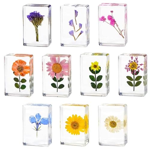 10 Pcs Flower Paperweight, Real Flower Specimen Pressed Flowers in