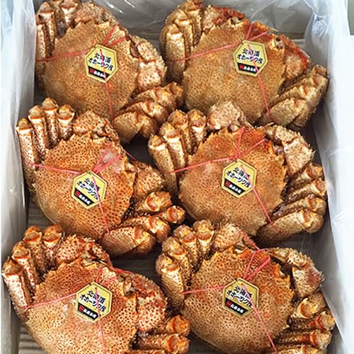 北海道産 毛ガニ 北海道 浜ゆで 毛がに/毛蟹/毛ガニ ボイル 北海道産 毛蟹 6尾入 1ケース 4kg まとめ買い 毛ガニ 魚介類 水産加工品 カニ 毛ガニ タグ付き