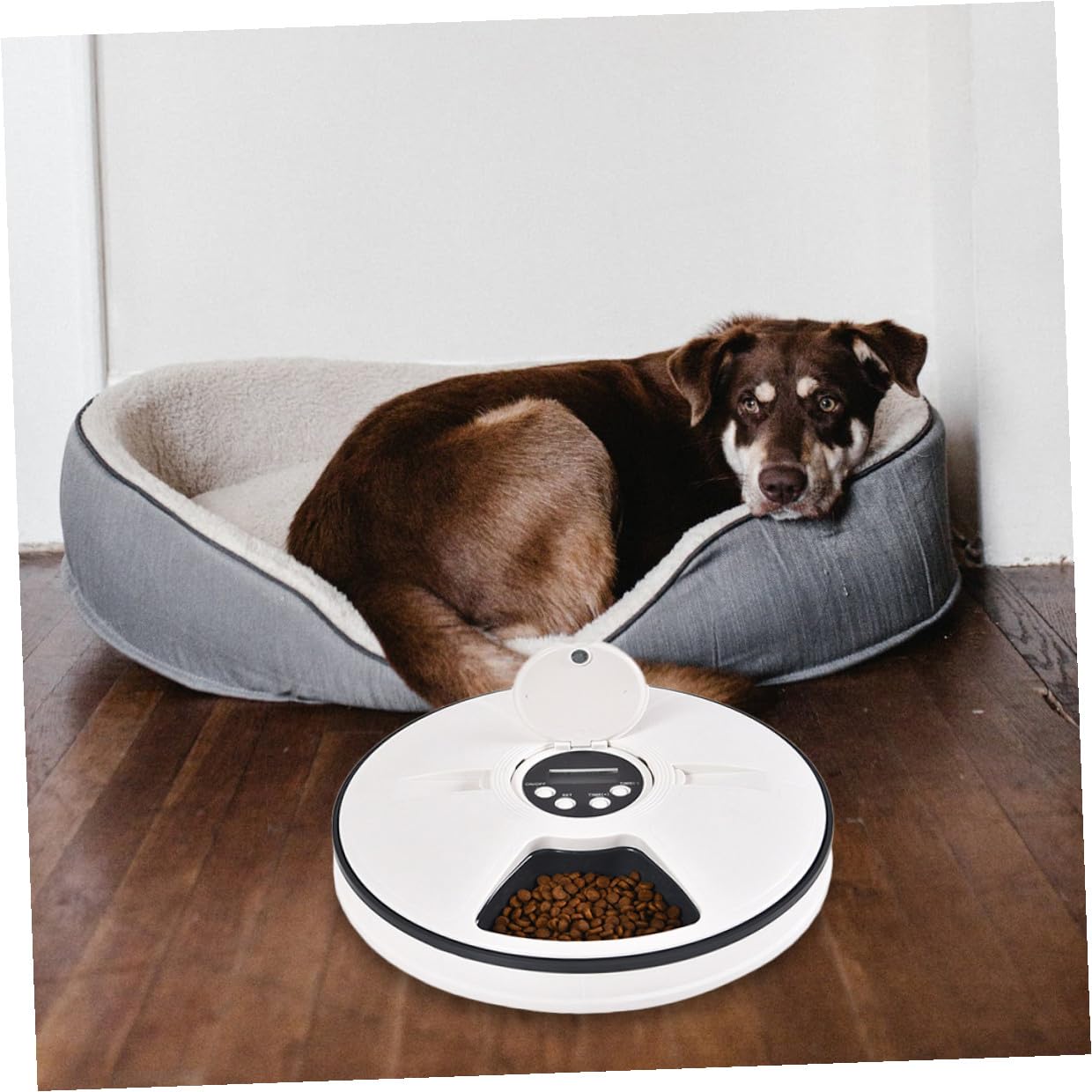 Distributore Automatico Cibo Cani Timer 6 Pasti 90g Abs Nero