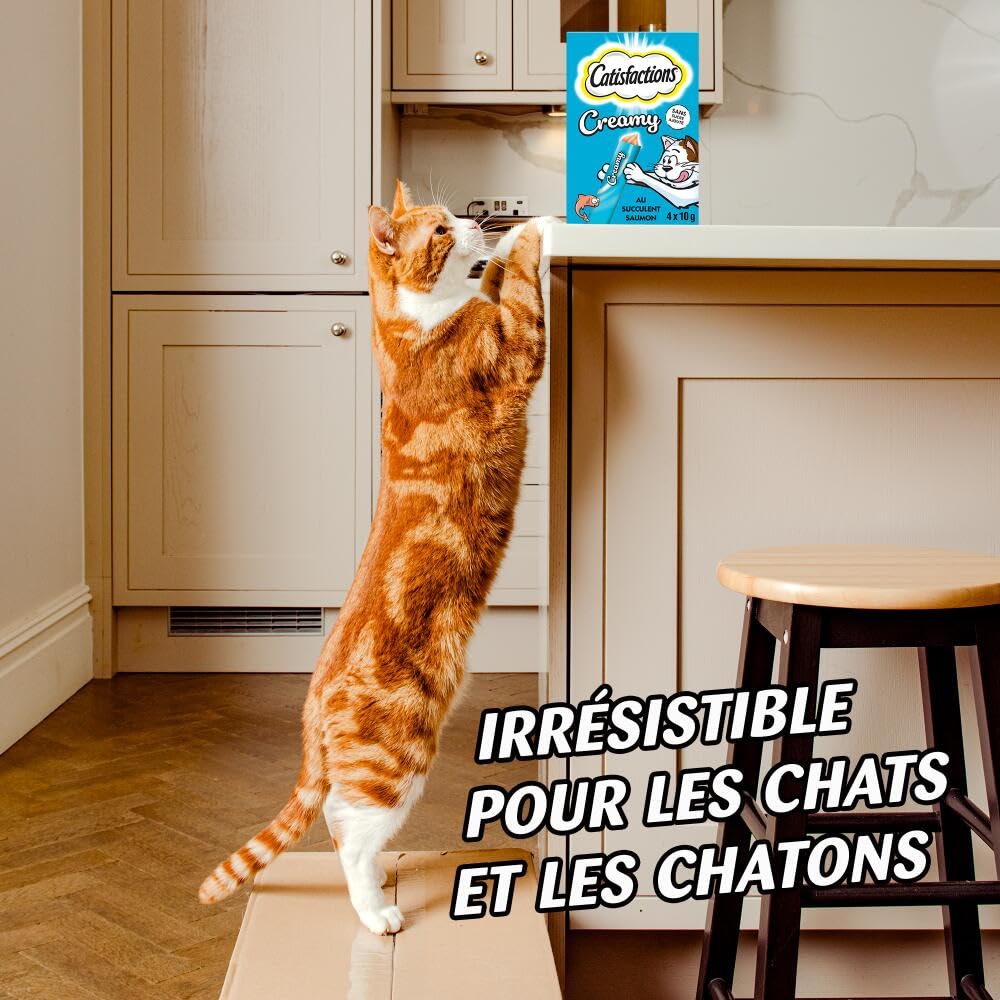 Catisfactions Creamy Friandises pour Chat – Goût Saumon – Récompenses pour Chats Adultes et Chatons – Pack de 4 sachets de 10 g (Lot de 11)