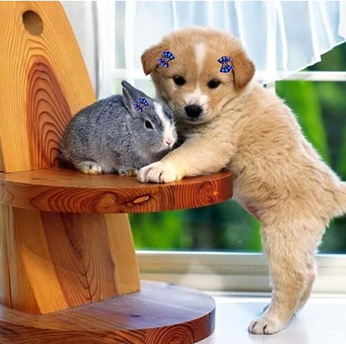 Miniatura 6 de Wepetyo 30 lazos para perros, perlas de diamantes de imitación, lazos para el pelo de mascotas con bandas de goma, lazo para cachorros, lazos de