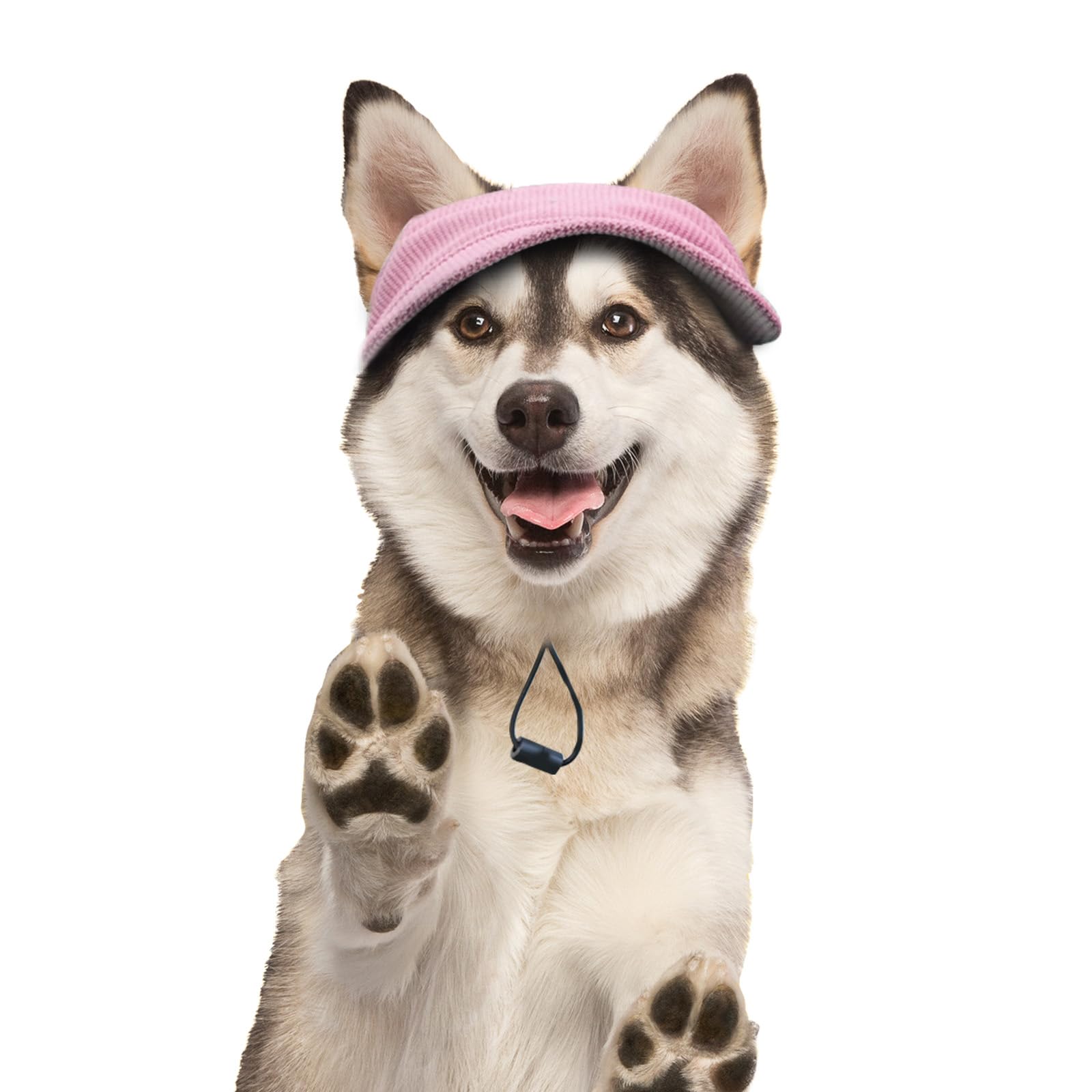 BASVII Hunde Baseballmütze, Basecap Verstellbar Sonnenschutz, Hut Hundecap mit Ohrlöchern, Hunde Sonnenhut Benutzt für Sonnenschutz, Hunde Mütze für Welpen Katzen