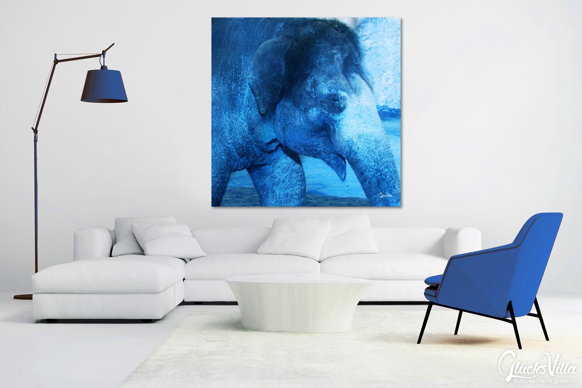 Glücksvilla - Der Elefant 1 - (Acrylglas-Bild 5 mm, 140 x 140 cm) | div. Maße - aus DE - Kunstdruck XXL Deko Wandbild Quadrat - Wildnis Afrika Natur Tier Fotografie