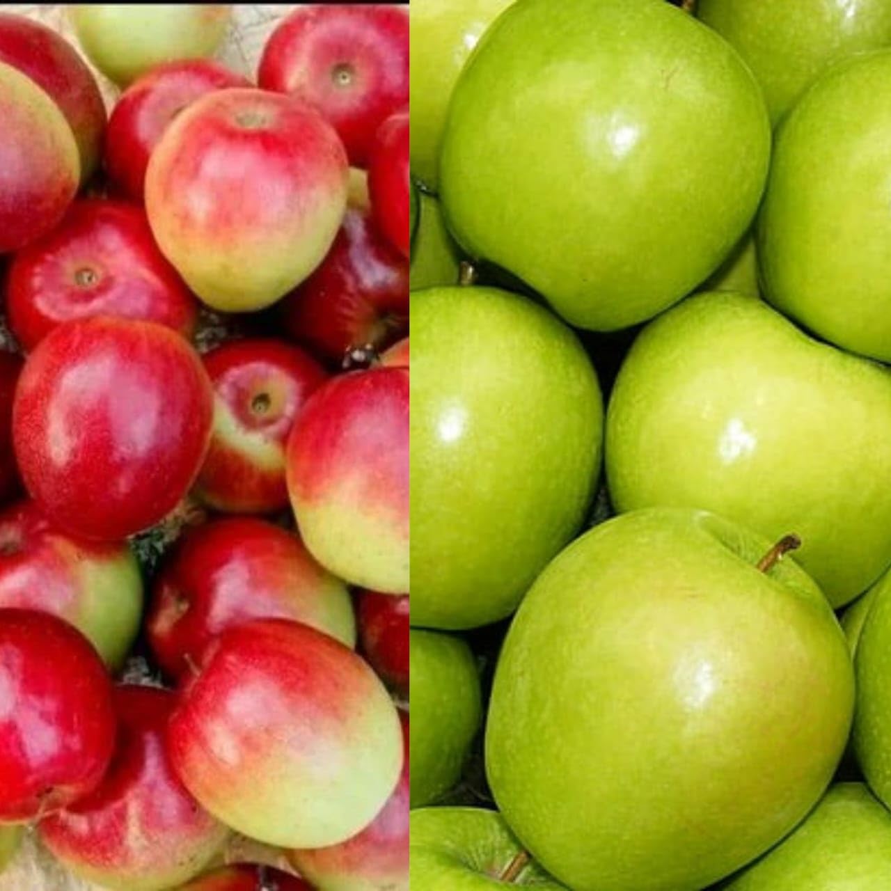 Golden Bloom Live GRafted Thai Red And Green Kashmiri Apple Ber Fruit Plant Tree Pack Of 2 Plants Combo (Height 1 FT) Next Year U Get Fruits (B0CBPC48PX) Amazon Price History, Amazon Price Tracker