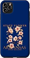 Vista 13 de Arkansas Apple Blossom Case for iPhone 17
