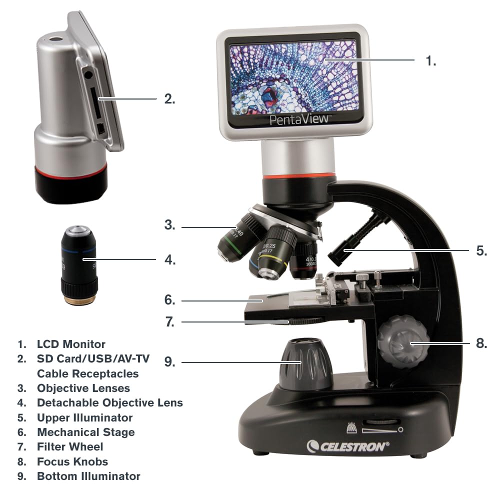 Celestron 44348 PentaView LCD Microscopio digitale, Ingrandimento 40x-60x, Nero/Argento