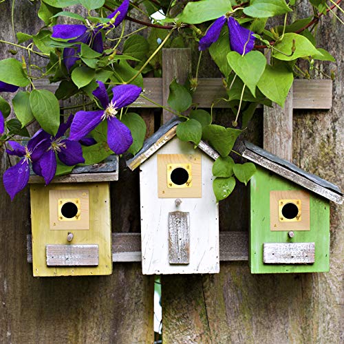 2 Pieces Bird House Replacement Guard Bird House Copper Portal For Eastern Bluebird Houses 1 1/2 Inch Opening #TOP4