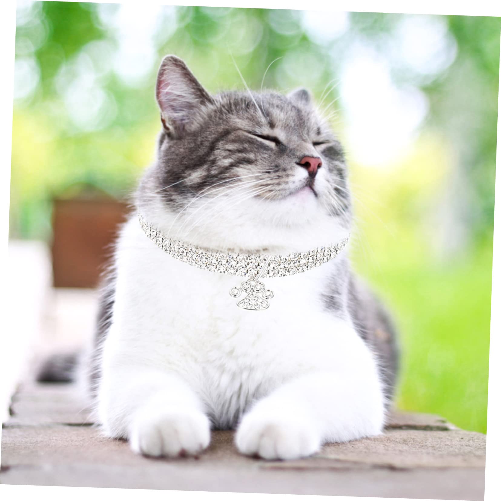 Housoutil 6pezzi Collana Decorativa Per Animali e Rhinestone Resistente All Usura Per Cani e Gatti Accessorio Elegante Per Festività e Occasioni Speciali