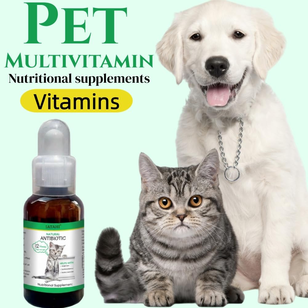 Antibióticos para Gatos,3pcs Antibióticos Naturales para Gatos,Gotas Antibióticas para Gatos,Antibióticos para Mascotas Que Alivian la Picazón