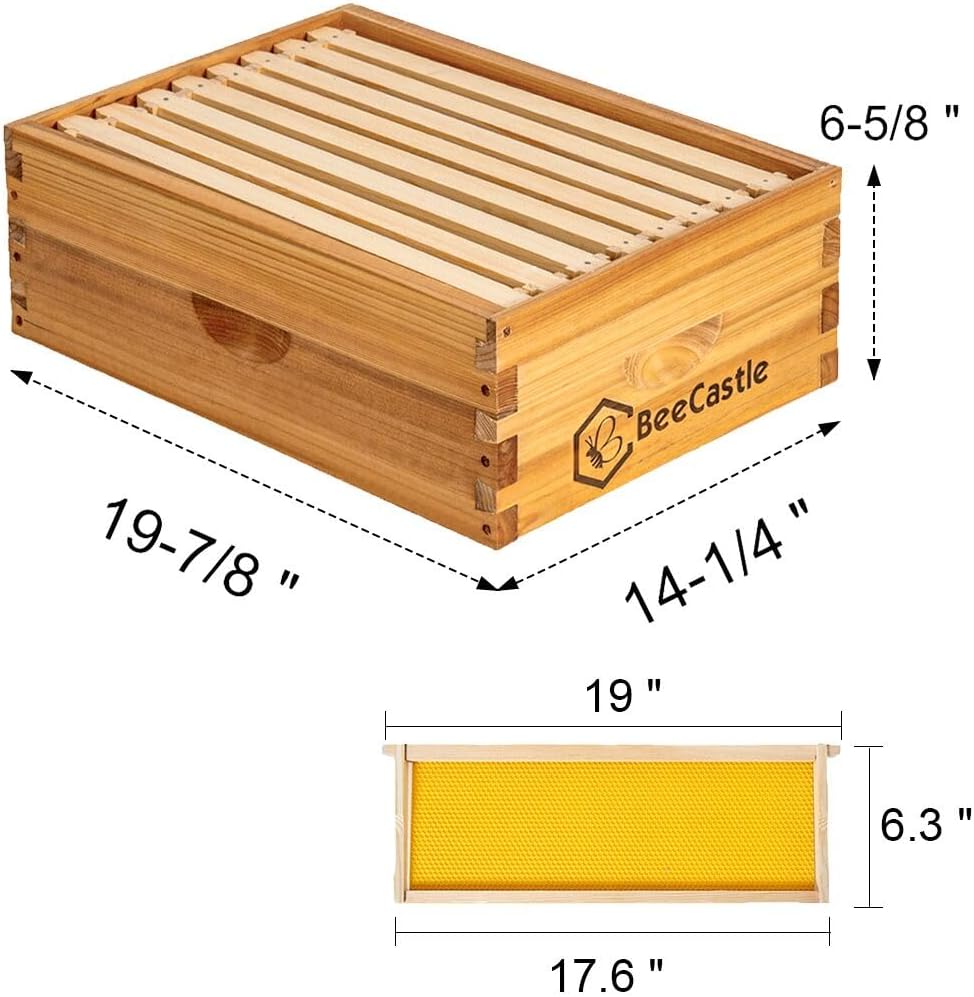 BeeCastle 8 Frame Medium Super Bee Hive Box, Langstroth Honey Bee Hive Dipped in 100% Beeswax Include Beehive Frames and Wax Foundations (Unassembled) - Image 3