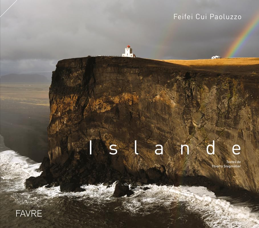 Islande gobelet en verre transparent pour cocktail et jus de fruits
