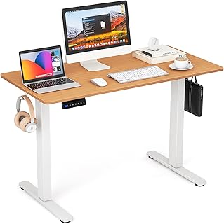 Height Adjustable Desk, 120 x 60 cm, Electric Standing Desk with 2 Hooks and Cable Management, Standing Table with Memory Function and Collision Protection, Computer Table for Home Office