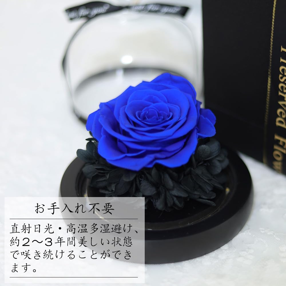 【新着商品】プリザーブドフラワー 1輪のバラ LEDライト付き プレゼント レッ Amazon｜プリザーブドフラワー バラ 1輪 ローズ 本物バラ LEDライト