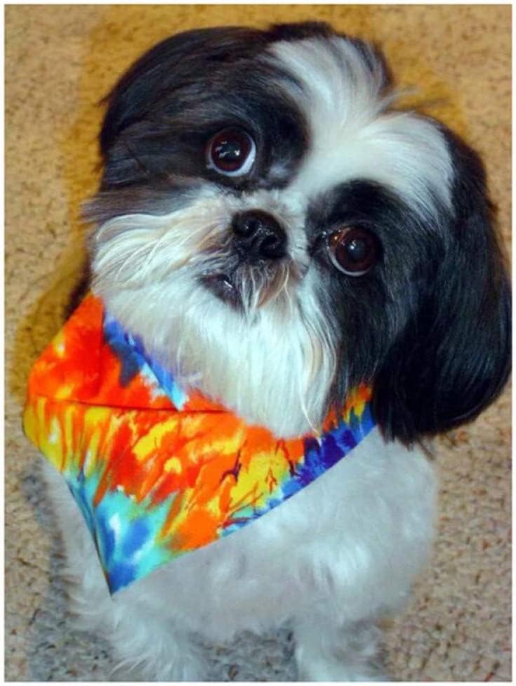 Kit de pintura de diamantes 5D por números para adultos, taladro completo Shih Tzu para mascotas, bordado de diamantes de imitación, arte para