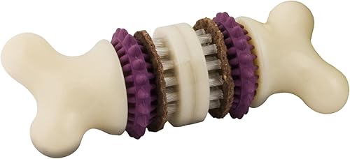 PetSafe Busy Buddy Bristle Bone - Hueso de Cerdas - Juguete Duradero para Masticar para Perros con Cerdas y Protuberancias de Goma para la Salud