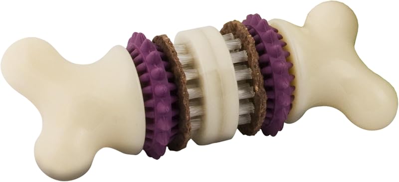 PetSafe Busy Buddy Bristle Bone, grande, ayuda a mantener los dientes de su perro limpios y un tiempo de juego duradero | El diseño de cepillo de dientes en un juguete ayuda a limpiar los dientes mientras el perro mastica, sostiene anillos de golosinas, juego duradero e interactivo, para perros de 50 a 90 libras