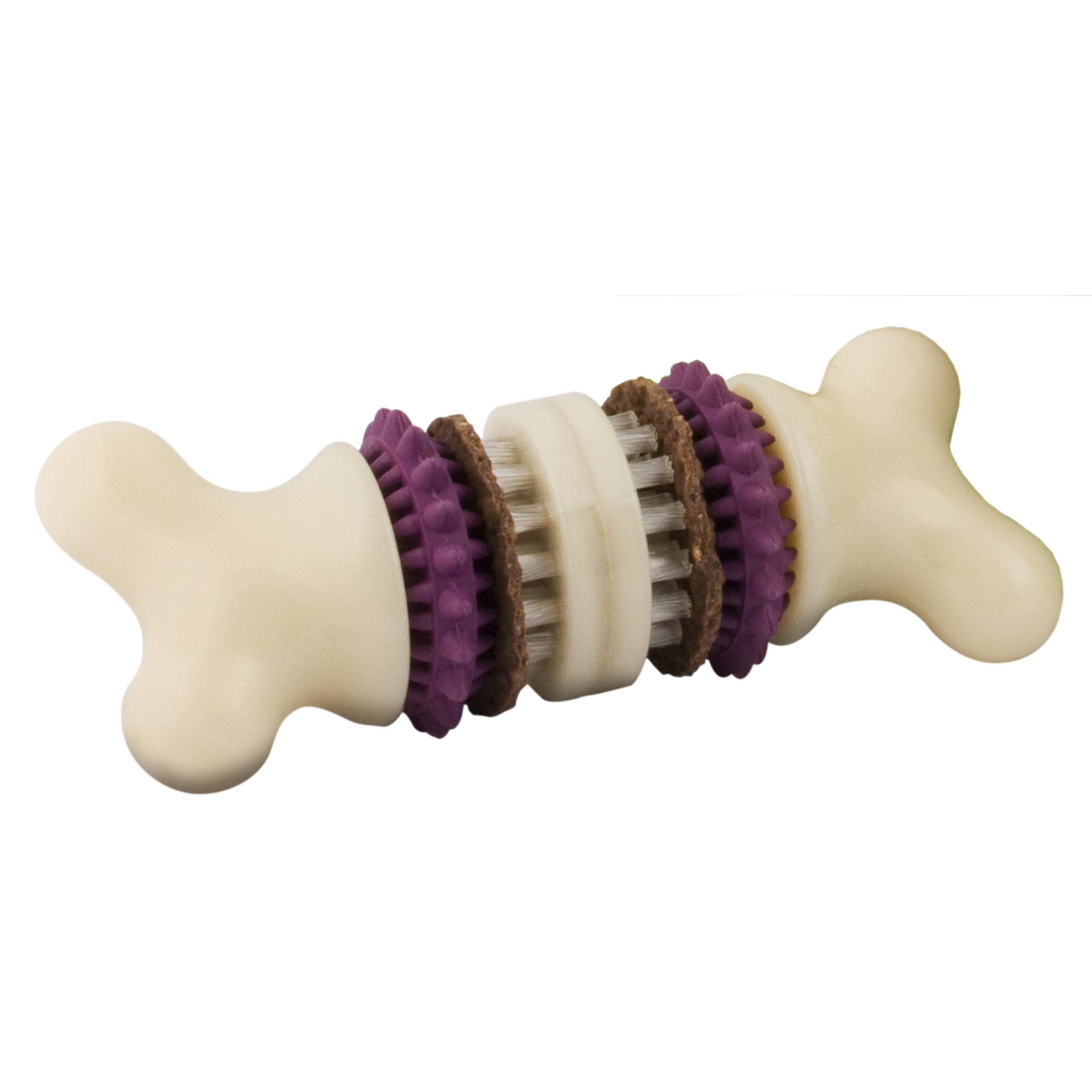 PetSafe Busy Buddy Bristle Bone Dog Toy, Chew Toy with Treats