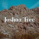  Joshua Tree