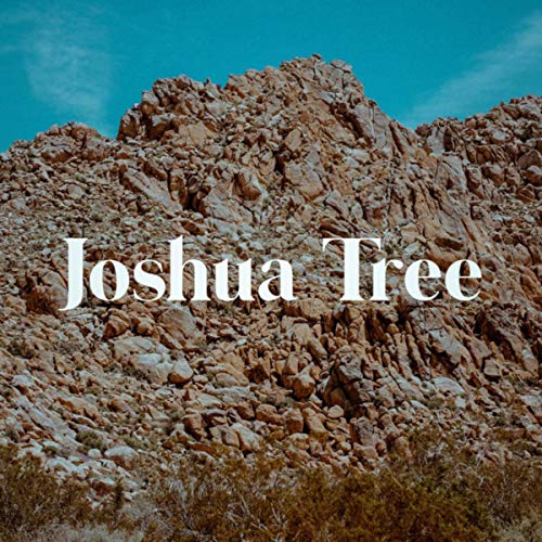  Joshua Tree