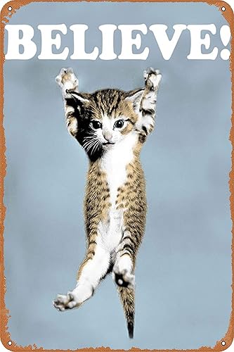 Cartel de metal Believe Cat, Hang in There Cat Cartel motivacional divertido perfecto para el hogar u oficina, 12 x 8 pulgadas