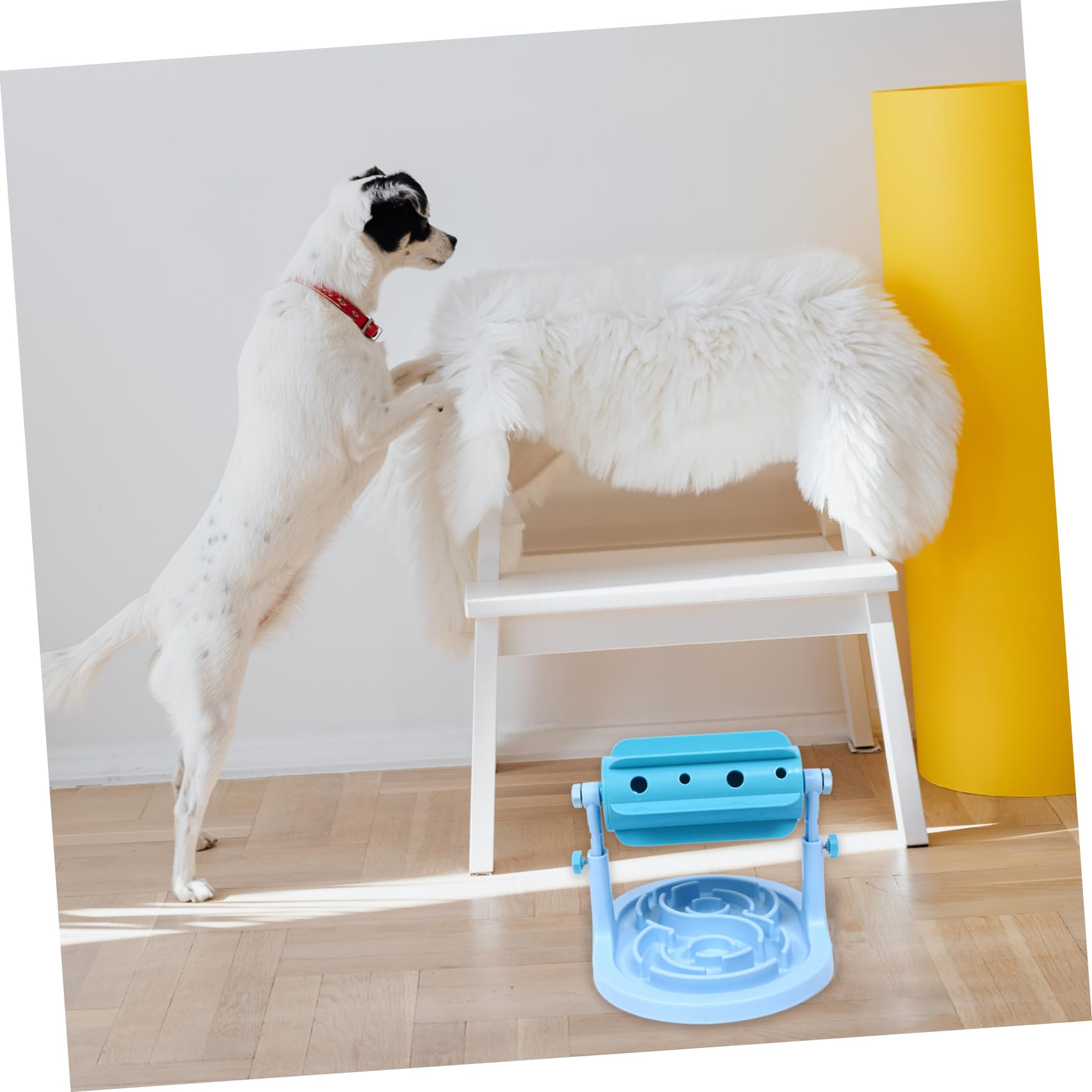 ibasenice Gamelle pour Chien et Chat en Abs Bleu Distributeur de Nourriture Ajustable, Anti-Fuite, pour Augmenter Le Plaisir de Manger Lentement la Maison