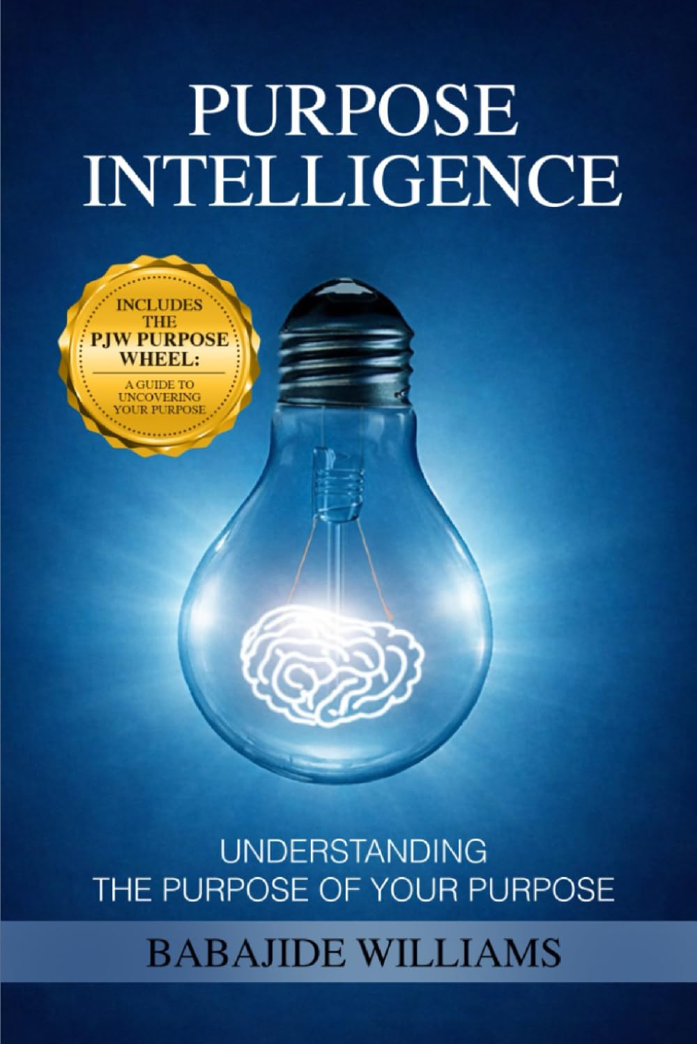 PURPOSE INTELLIGENCE: UNDERSTANDING THE PURPOSE OF YOUR PURPOSE      Paperback – February 19, 2026