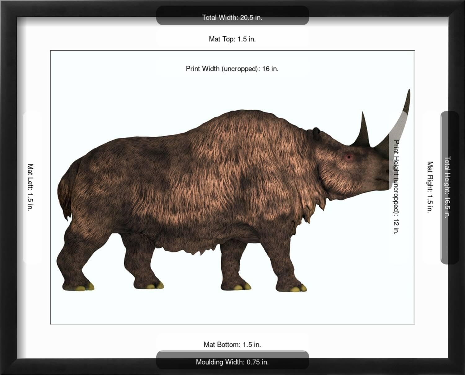 Woolly Rhinoceros Extinct
