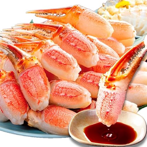 大型お刺身用ズワイガニ爪剥き身 生ズワイガニ爪 生ずわい爪 生ズワイ爪肉 カニお刺身 カニ爪肉 生ズワイポーション ずわいがに剥き身 カニ鍋 満足良品館カニ (1.5kg 正味重量:1.2kg)