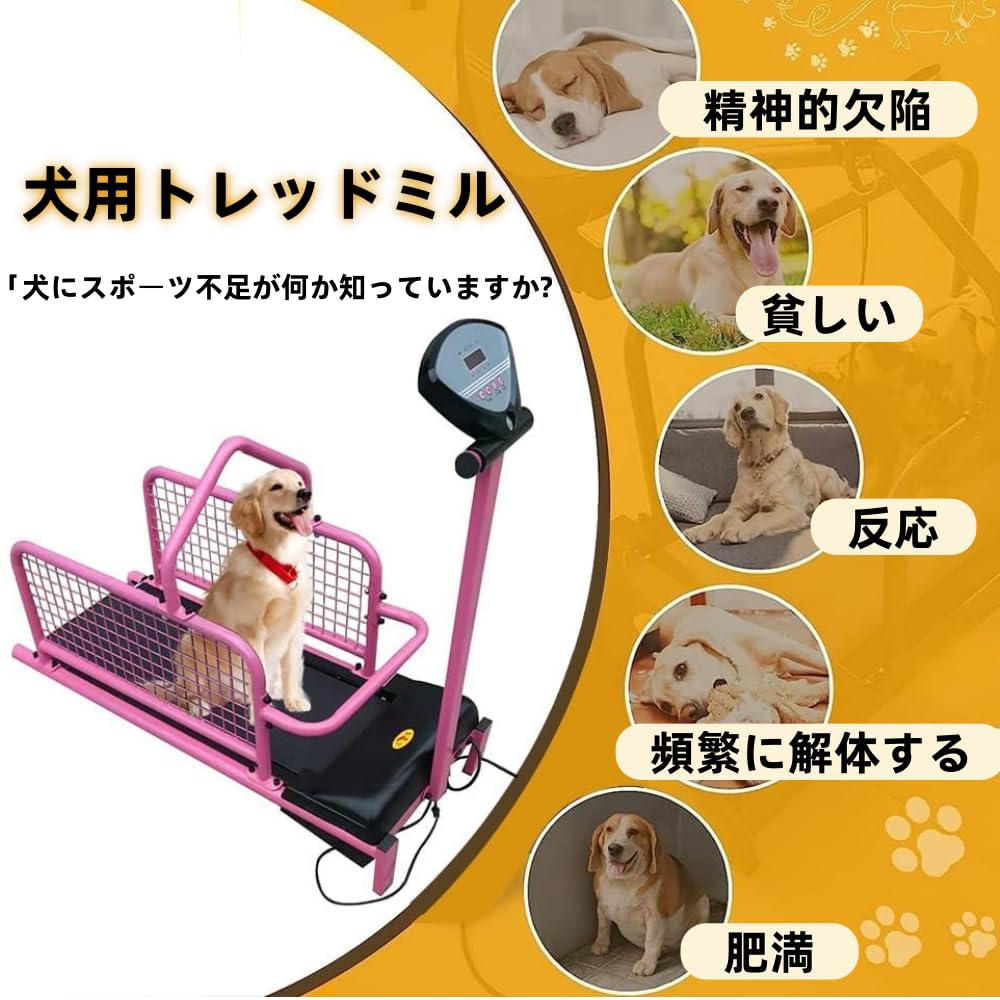 Amazon | Deerou犬用トレッドミル ペット用犬用ランニングマシン Amazon | Deerou犬用トレッドミル ペット用犬用ランニングマシン
