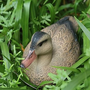 鴨の石像(デコイ) 鴨の石像(デコイ)