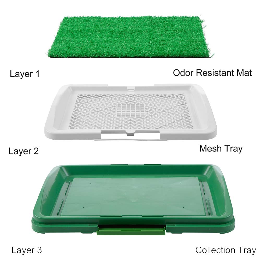 dog grass potty box