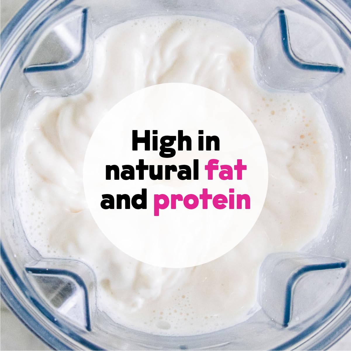 Cashew Milk Unsweetened Plain Concentrate by JOI - 60 Quarts - Vegan, Kosher, Shelf Stable, Keto-Friendly, Dairy Free, & Fat Free Milk - Almond Milk Powder Substitute, Coffee & Plant Milk Creamer