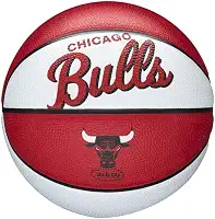 Wilson Mini bolas de basquete retrô NBA Team