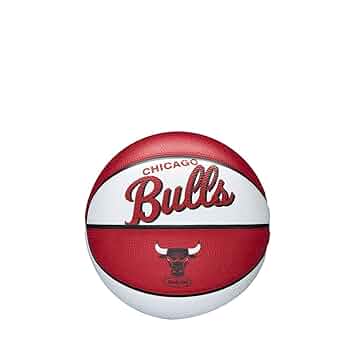 シカゴ・ブルズ 1997年ワールドチャンピオン ミニバスケットボール Wilson NBA ブルズ マイケル・ジョーダン レコード ミニ