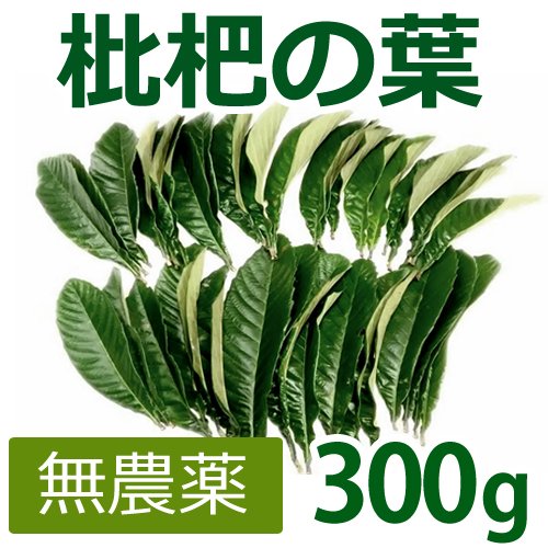 _ f̗tiт̗tj 300gif̐t30`40jܕsgp