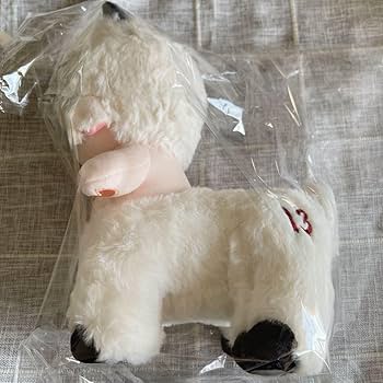 着せ替えぬいぐるみ オリジナル 20cm 無属性 ぬいぐるみ O6 骨入り Amazon.co.jp: 無属性 着せ替えぬいぐるみ オリジナル 20cm O5骨