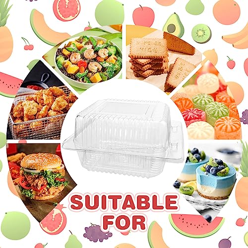 Rrshnsgv 160 Pcs Clear Plastic Square Hinged Food