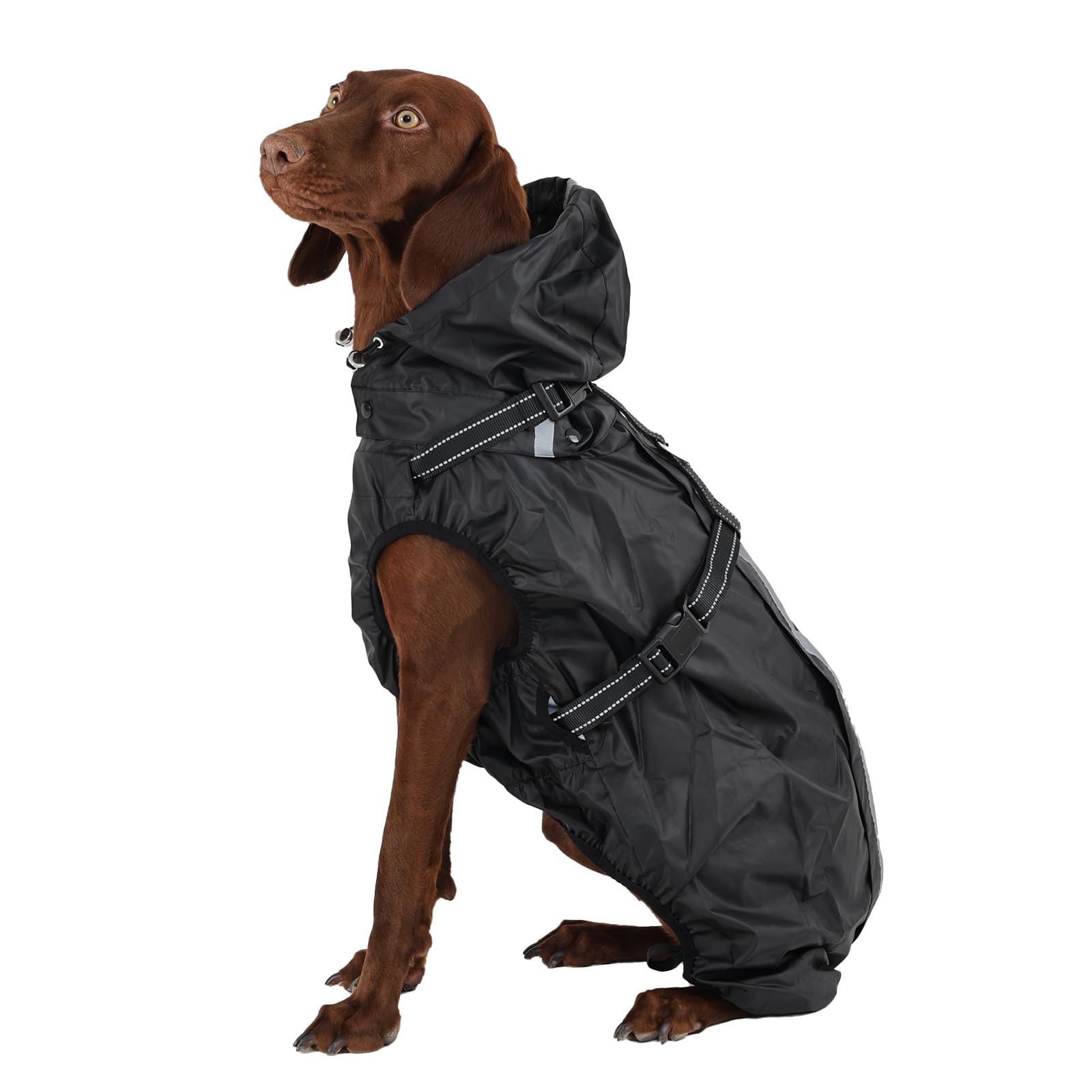 Chubasquero para perro