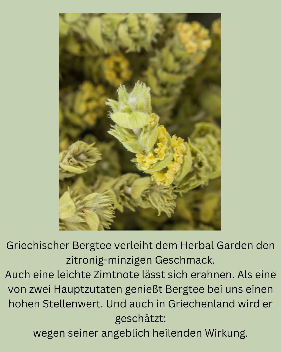 Tea Royal - Herbal Garden | Sparkling Tea | alkoholfreie Champagner Alternative | alkoholfreie Sekt Alternative | statt alkoholfreier Wein | alkoholfreier Aperitif (Herbal Garden)