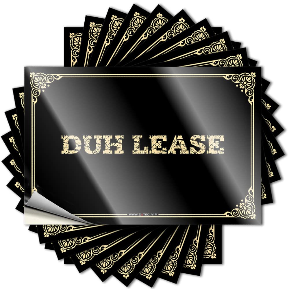 Western Home Decor Decals - Assorted Car Nice Duh Lease(12X18CM)