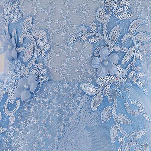 Infant Toddler Girls Embroidery Flower Sequin Bead Ruffle Tulle Dress Baptism Christening First Communion Birthday Party Special Occasion Photography Prop Blue 18-24 Months #TOP4