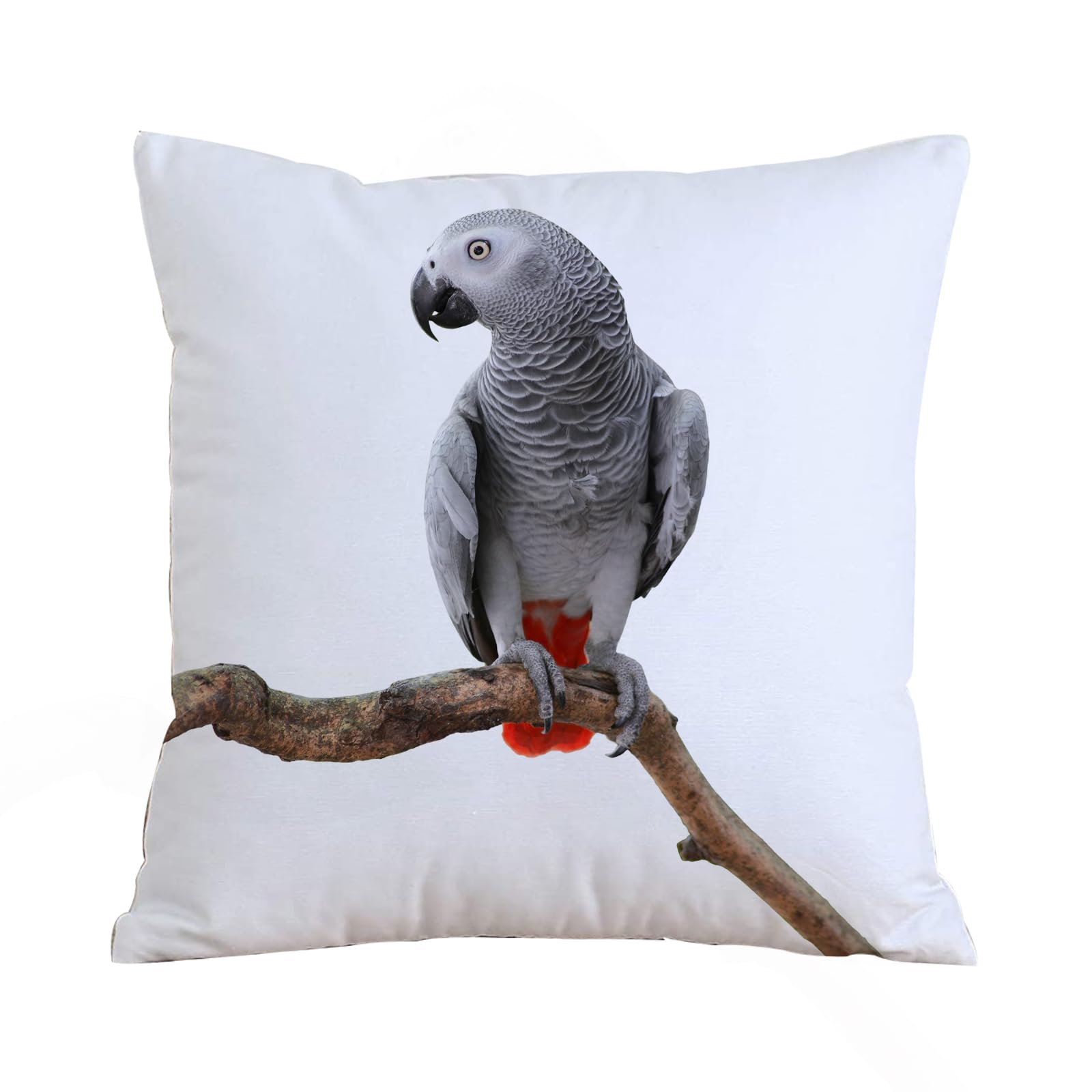 AELKSP Cushion Cover Decorations Pillow Cover Home for Livingroom Couch Sofa Decor Throw Pillow Case Gifts,Grey,African Parrot Bird Psittacus Erithacus Standing on a Branch Tropical Natur,18x18 in